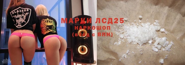 прущие грибы Абдулино