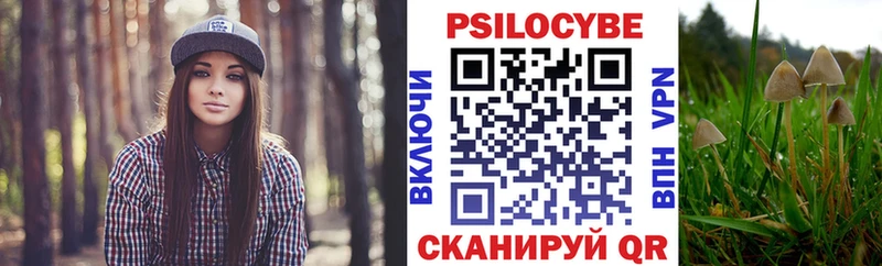 закладки  Саки  Галлюциногенные грибы GOLDEN TEACHER 