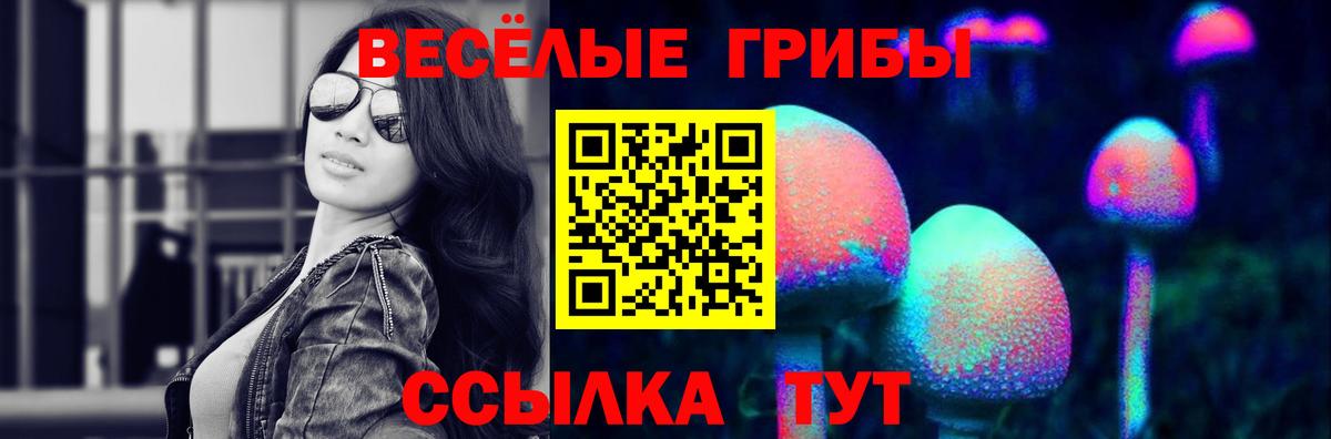 Галлюциногенные грибы мицелий  Вход с VPN  Саки 